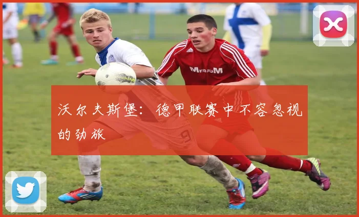 沃尔夫斯堡：德甲联赛中不容忽视的劲旅