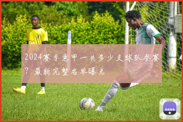 2024赛季意甲一共多少支球队参赛？最新完整名单曝光