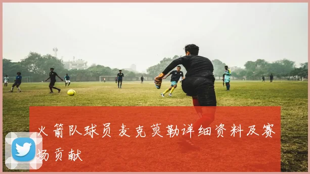 火箭队球员麦克莫勒详细资料及赛场贡献