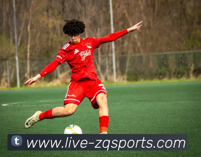 咪咕体育直播平台生态图